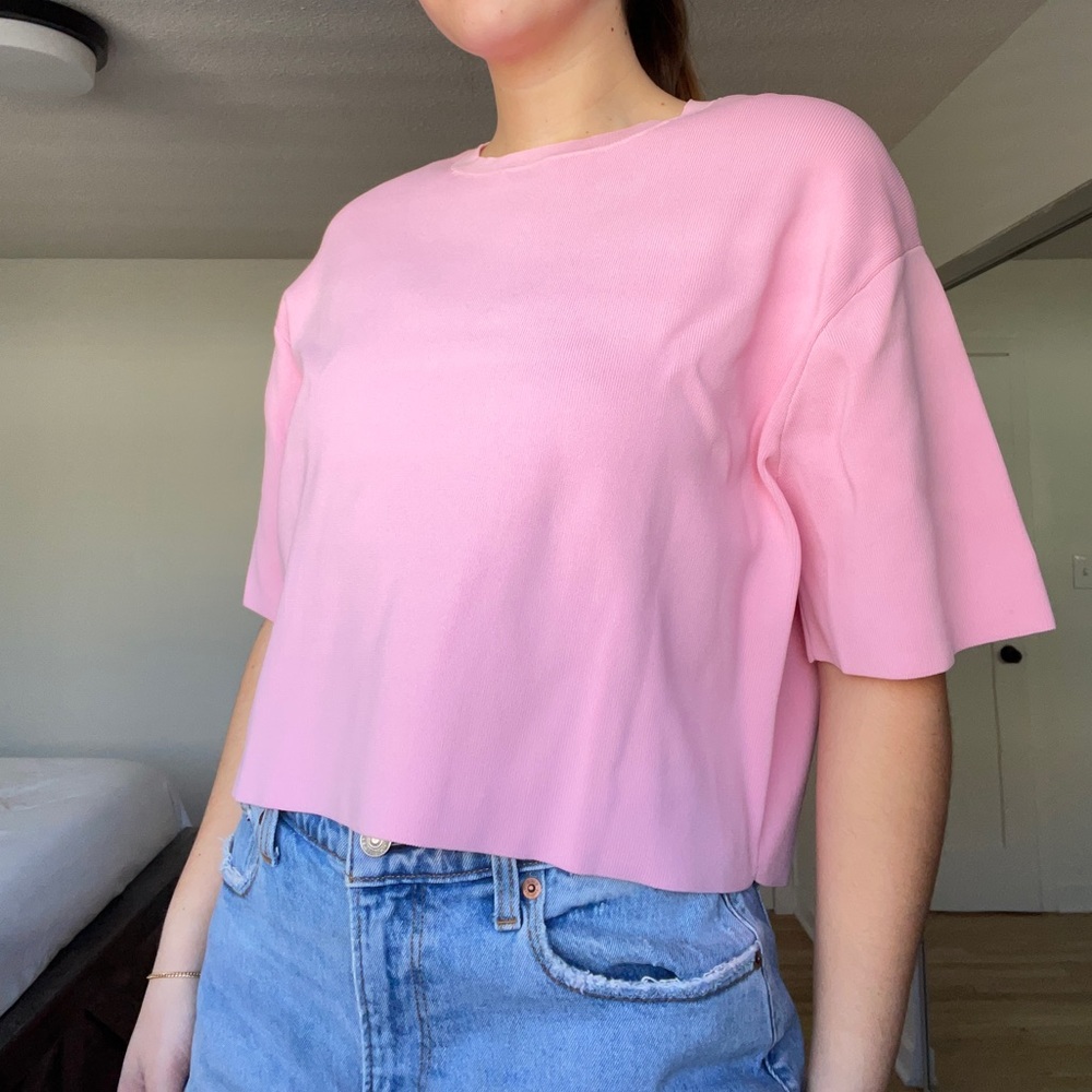 Pink Zara knit top